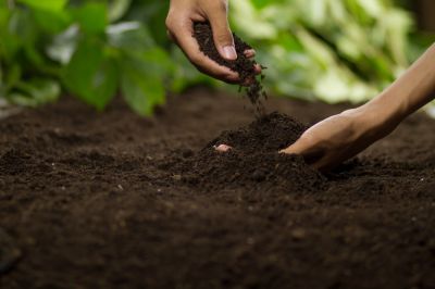 Convenient access to soil